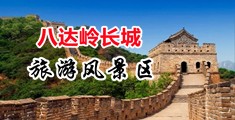 18禁美女露奶子免费露b中国北京-八达岭长城旅游风景区